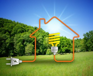 eco bulb